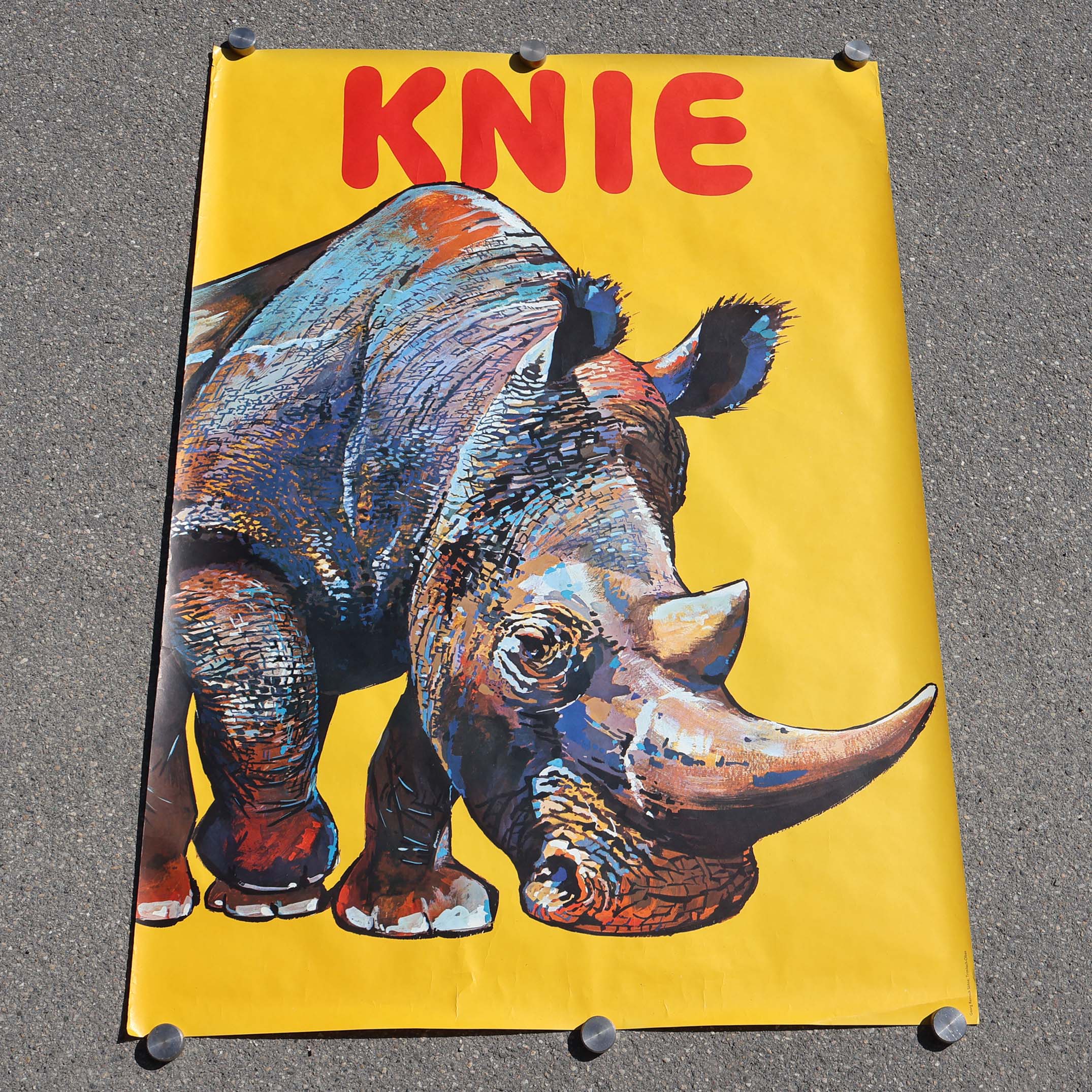 Affiche rhinocéros cirque Knie.