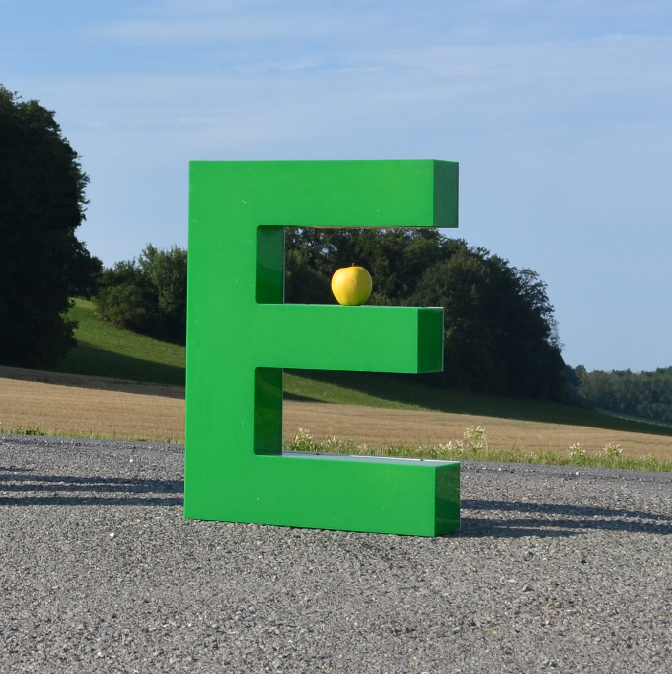 Grande lettre d'enseigne E verte