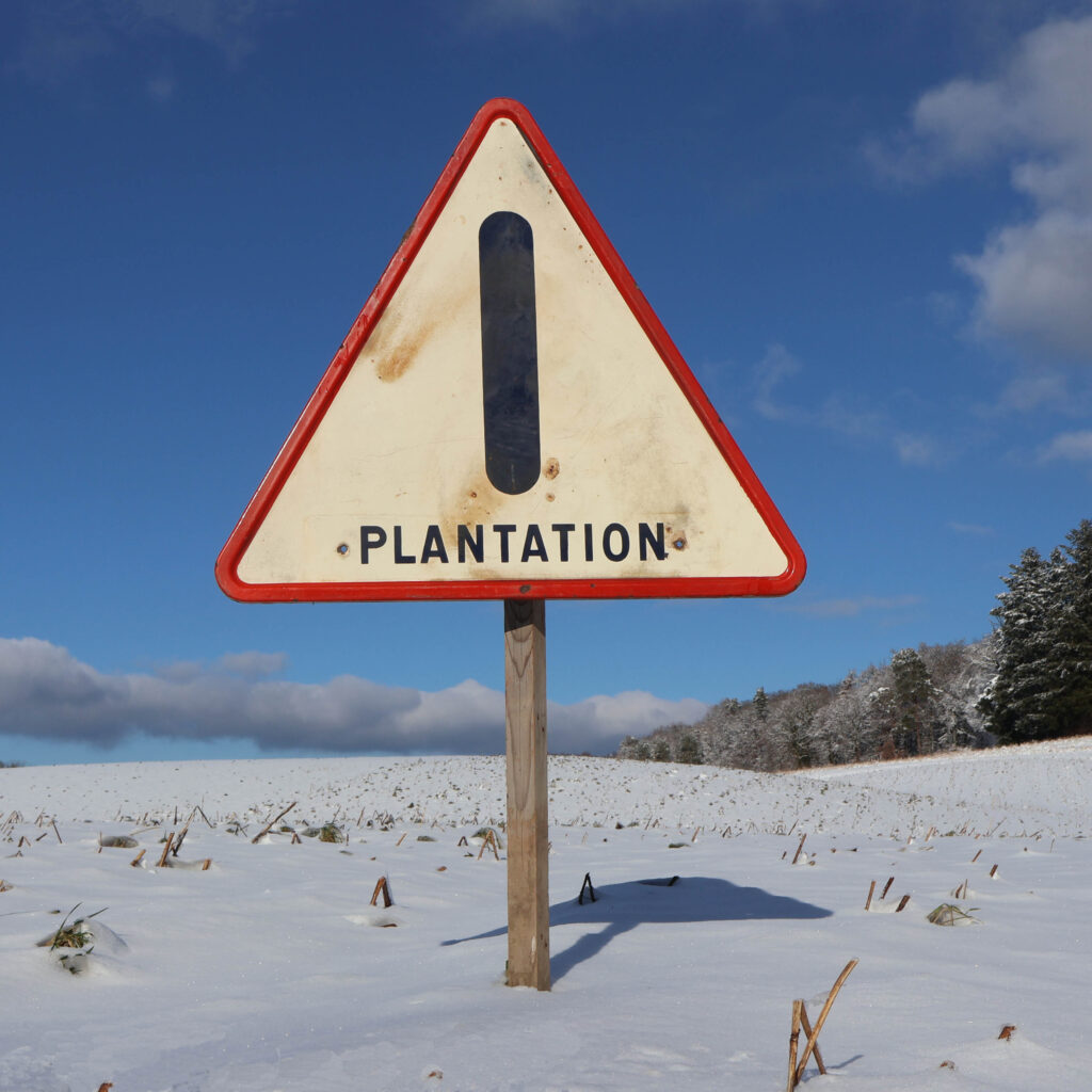 attention plantation panneau de signalisation